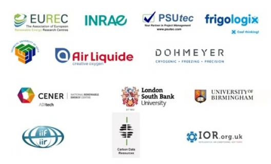 all partners cryohub
