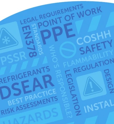Risk Flyer front