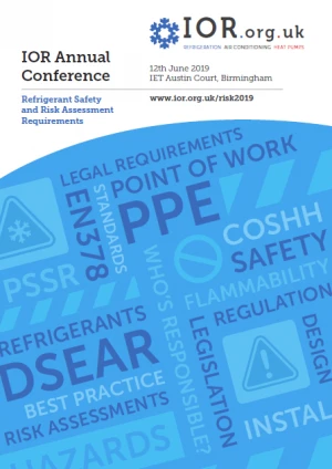 Risk Flyer front