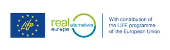 Real Life Project logo E web