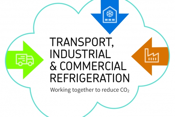 Tender Logo Final