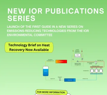 Blue And Green Modern Book Launch Instagram Post LinkedIn Post 1
