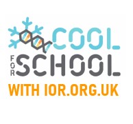 CoolforSchoolSQUARE