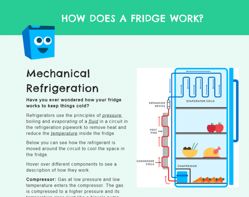 How does a fridge work?